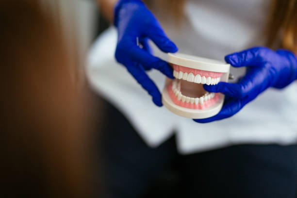 Best Dental Exams and Cleanings  in West Melbourne, FL
